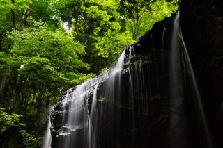 本能寺の変の原因